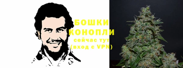 apvp Алзамай