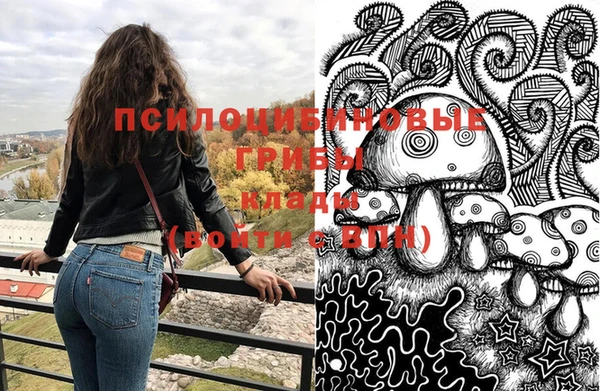 apvp Алзамай